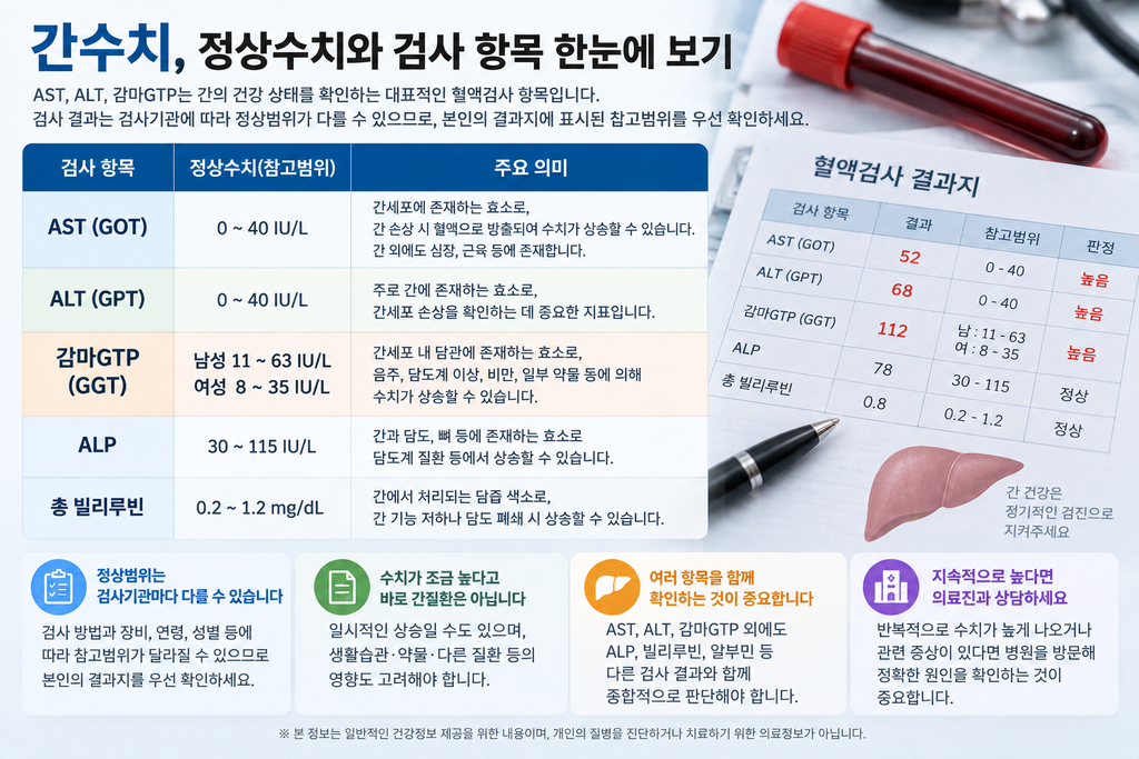 AST·ALT·감마GTP가 높다고요?|간수치 정상범위와 꼭 확인할 원인 수치