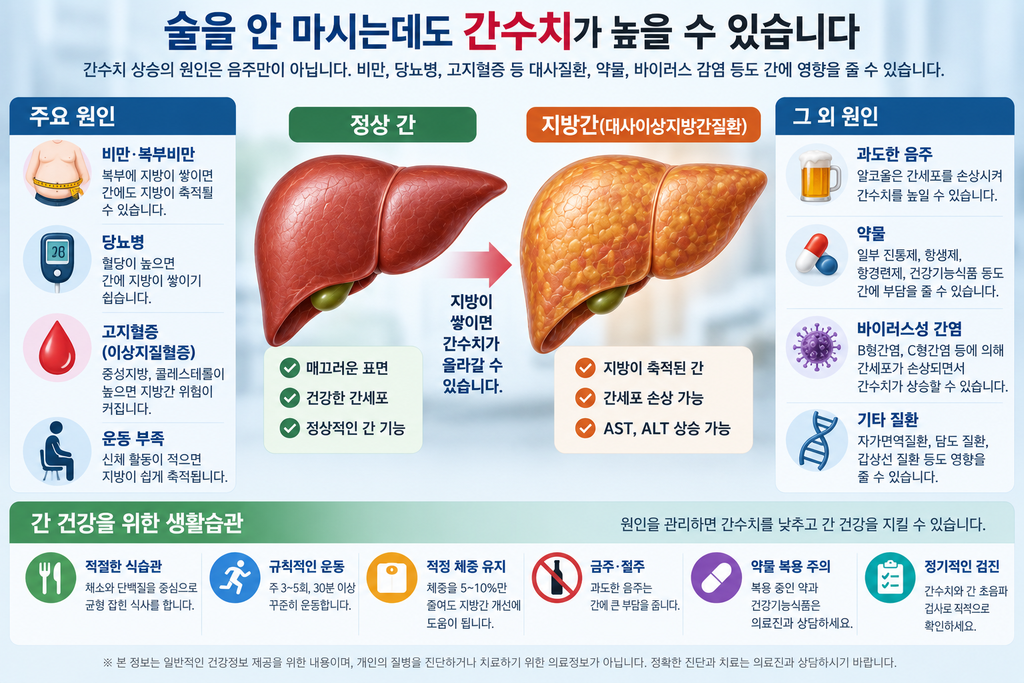 AST·ALT·감마GTP가 높다고요?|간수치 정상범위와 꼭 확인할 원인 원인