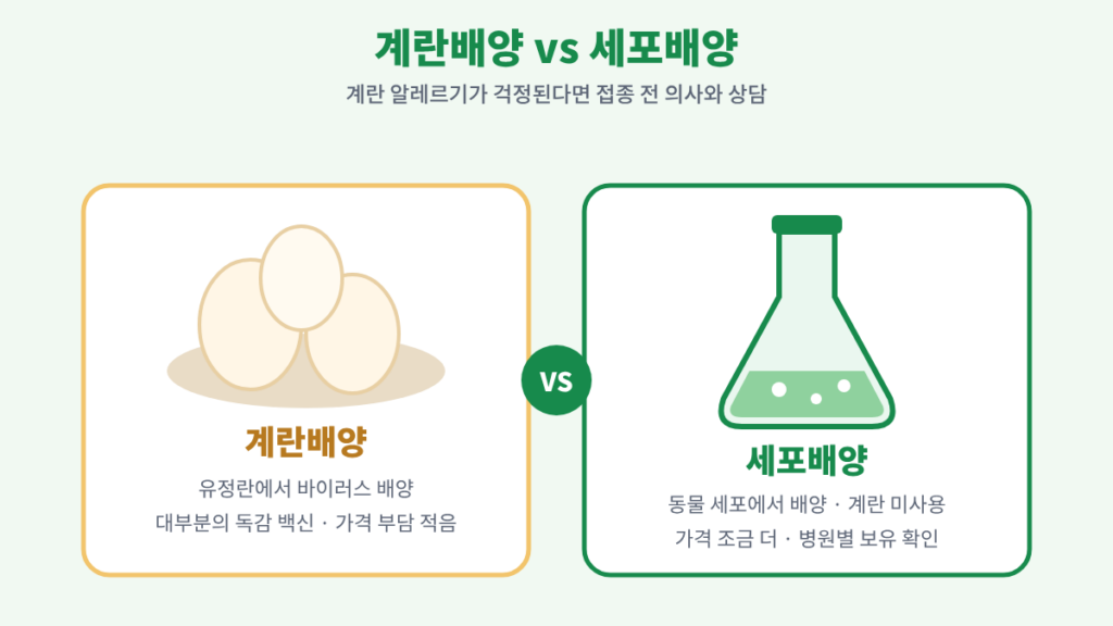 wordpress 03 계란vs세포배양